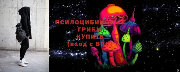 молекула духа Коряжма