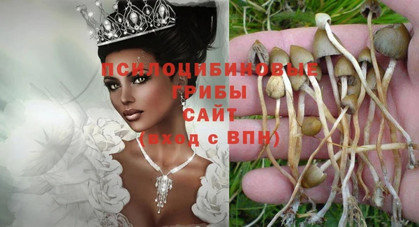 кристаллы Корсаков