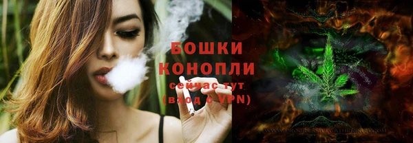 молекула духа Коряжма