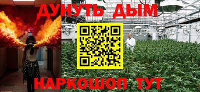 ECSTASY Новозыбков