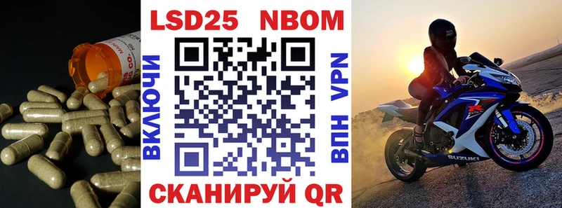 blacksprut как войти  Ростов-на-Дону  Лсд 25 экстази кислота 