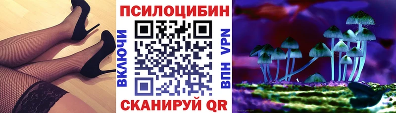 Галлюциногенные грибы мицелий  shop Telegram  Ростов-на-Дону  ссылка на мегу маркетплейс 