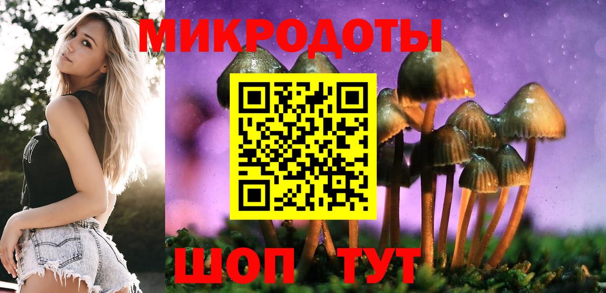 Ростов-на-Дону  Псилоцибиновые грибы мухоморы  Вход с VPN 
