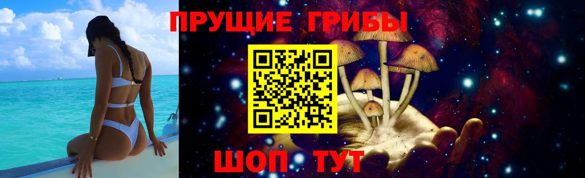Псилоцибиновые грибы Psilocybe Ростов-на-Дону